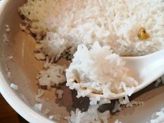 -72街红烧排骨饭(海珠丽影广场店)