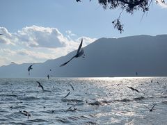 -滇池海埂公园