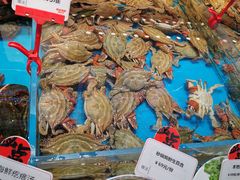 -必点海鲜·鲅鱼水饺(鞍山西道店)