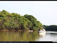-东寨港红树林旅游区