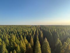 -黄海国家森林公园