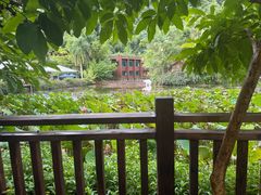-野象谷景区