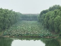 -赵州桥景区