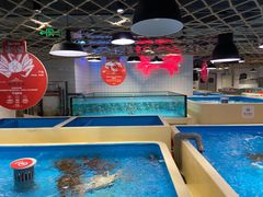 水产区-日进一片海.生腌海鲜火锅.宵夜烧烤(三里屯总店)