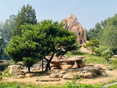 -北京野生动物园