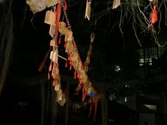 -小洲村