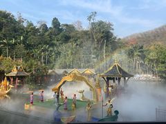 -西双版纳原始森林公园