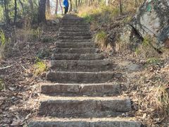 -青龙山国家森林公园