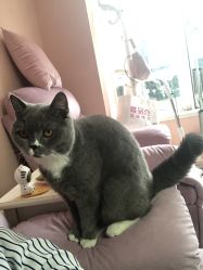 -Pink You美甲美睫纹绣定制中心