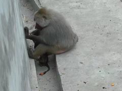 -西安秦岭野生动物园