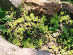 -昆山城市生态森林公园