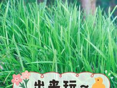 -新江湾城公园