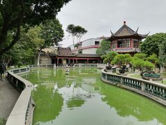 -碧江金楼