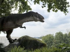 -自贡恐龙博物馆