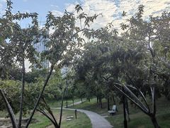 -堤角公园