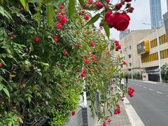 -无锡师范学校附属小学(学前街校区)