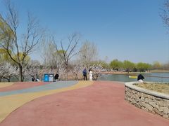-东郊湿地公园