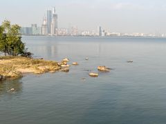 -深圳湾公园(南山区)