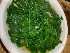 上汤豆苗-五观堂素食(新华路店)