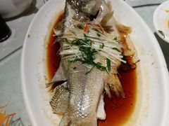 -泮金大塘(北二七路店)