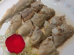 香糟黄鱼-宋园·上海菜(静安店)