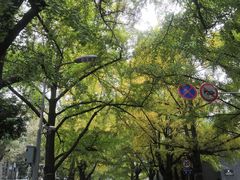 -四川大学(华西校区)