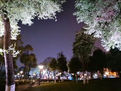 -眉山湿地公园(东坡区)