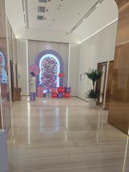 -深圳美莱医疗美容医院