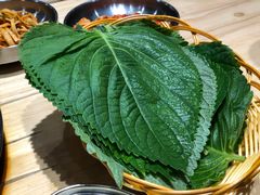 -韩张·韩国传统烤肉(万象汇店)