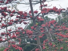 -风云岭森林公园
