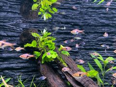 -上海海洋水族馆