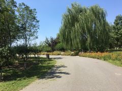 -永定河休闲森林公园