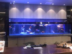 大堂-川旺角川粤融合菜•海景餐厅(星海广场店)