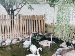 -北京市海淀外国语实验学校