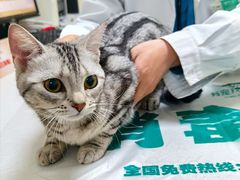 -瑞派宠物医院·24h·骨外科·皮肤科·全科宠物医疗转诊中心(沈阳浑南院)