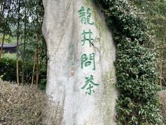 -十八棵（老龙井）御茶园(老龙井店)