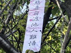 -西安大兴善寺