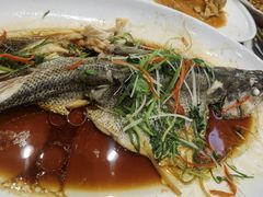 -御同亨酒楼·喜宴