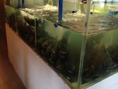 水产区-湄公河秘制烤鱼(西双十贰城商业中心店)