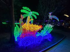 -南宫五洲植物乐园