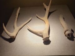 -南越王博物院(王宫展区)