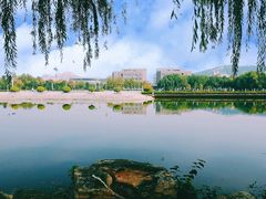 -山东师范大学(千佛山校区)