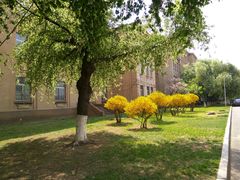 -辽宁大学(崇山校区)
