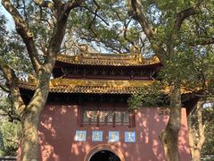 -普陀山风景名胜区-法雨禅寺