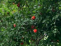 -洛阳周公庙博物馆