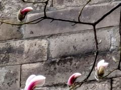 -东华门大街小区