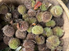 -衡厨·衡阳土菜(中南店)