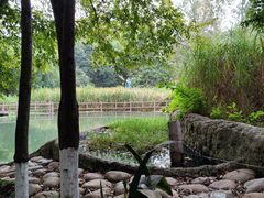 -成都市活水公园