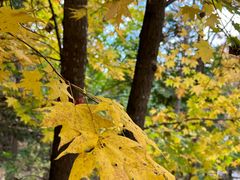 -六鼎山文化旅游区