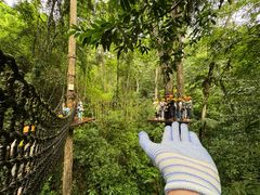 -西双版纳原始森林公园